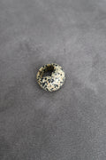 Forma Stone Ring in Dalmatian Jasper